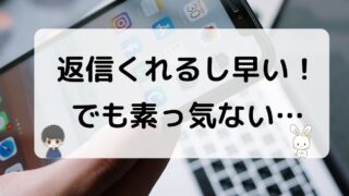 返信は早いけど素っ気ない